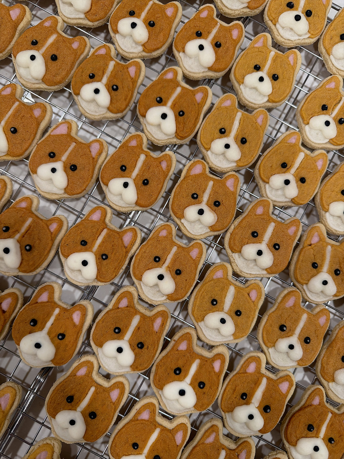 Custome Face Cookie Set