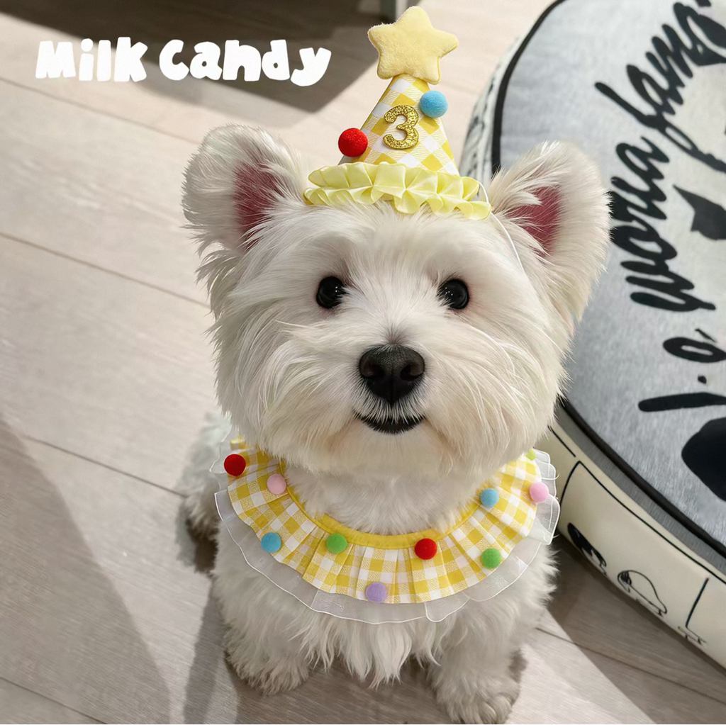 Candy Check Set